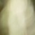 Profile picture of Priyanka