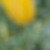Profile picture of Tina